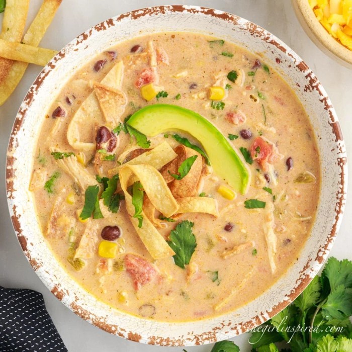 Chicken tortilla soup crock pot recipe