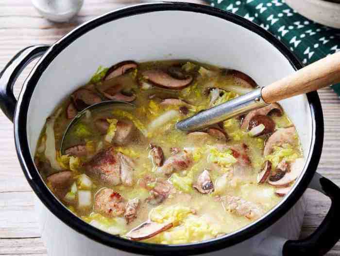 Pork in soup recipes