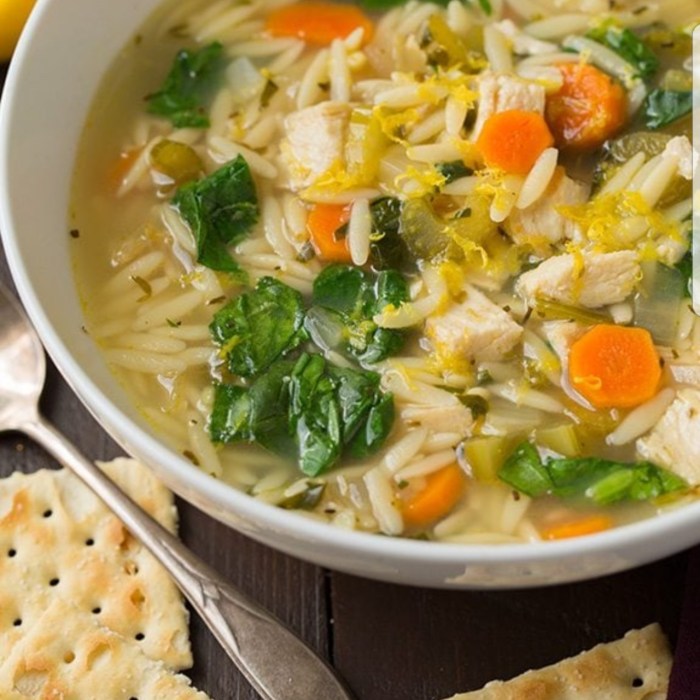 Chicken orzo recipe soup